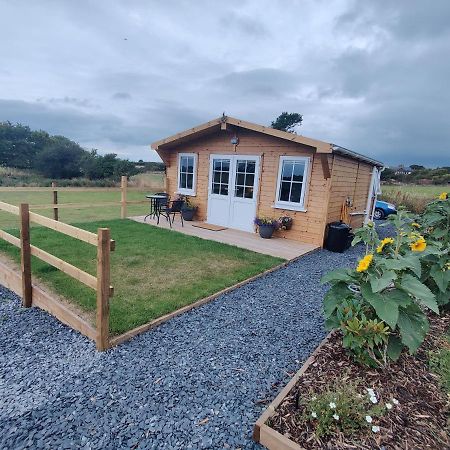 Bumble Bee Cabin Bootle  Kültér fotó