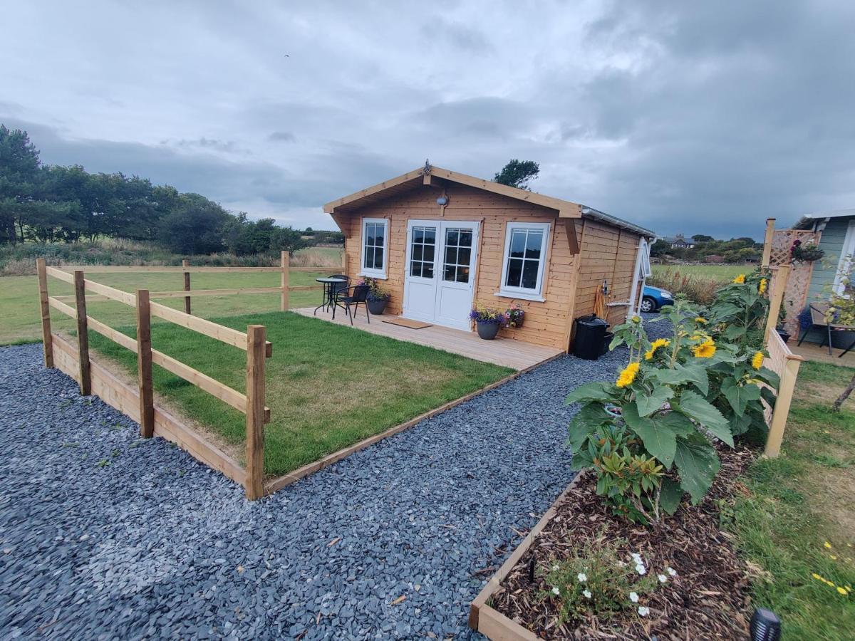 Bumble Bee Cabin Bootle  Kültér fotó