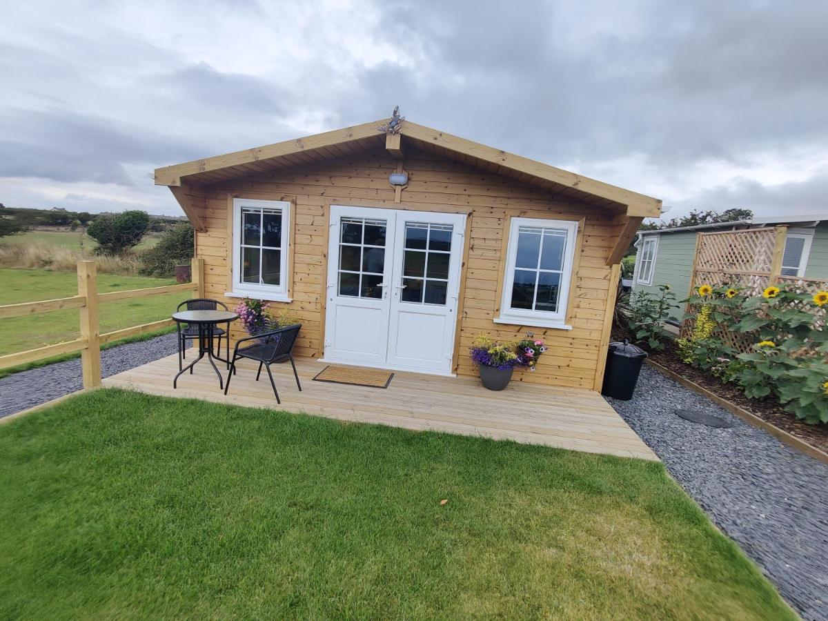Bumble Bee Cabin Bootle  Kültér fotó